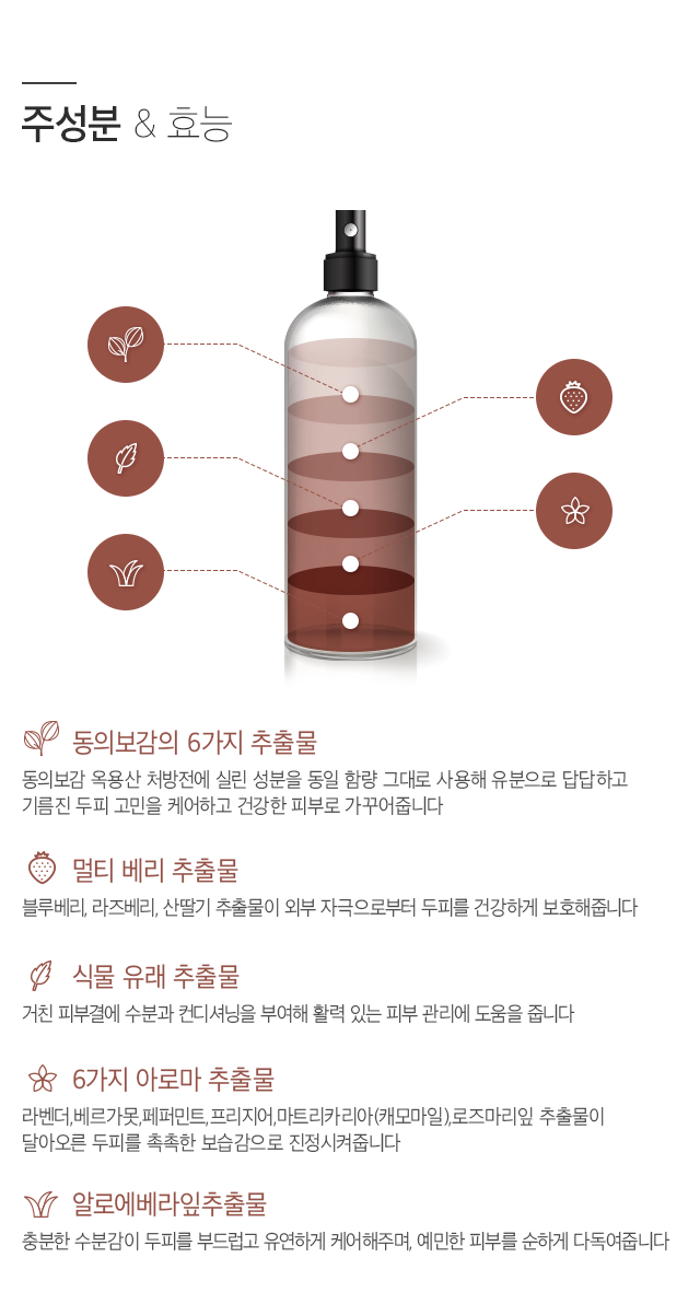 주성분&효능